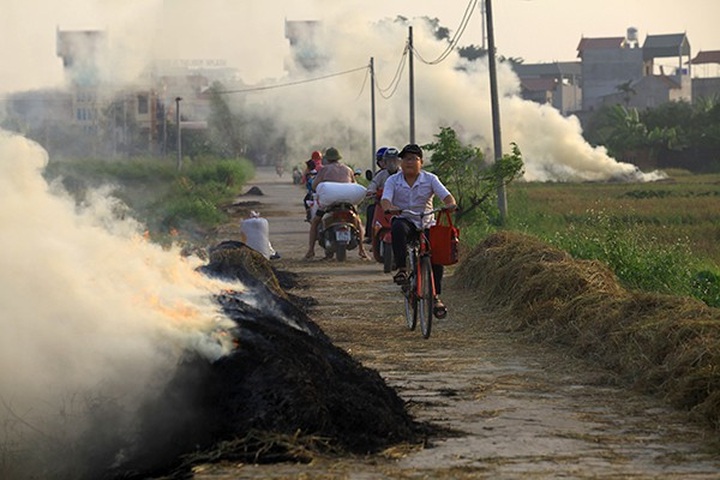 Straw burning harms many northern provinces - 1 Straw burning harms many northern provinces - 1