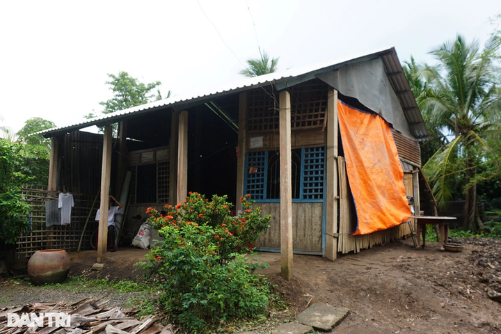 Poor couple in Tien Giang in desperate need of help - 2
