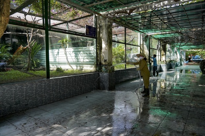 Saigon Zoo to open from this weekend - 3