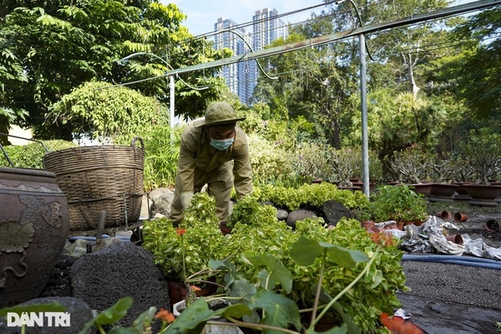 Saigon Zoo to open from this weekend - 2