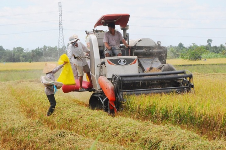 Vinh Long to spend VND400bn on agriculture museum - 1