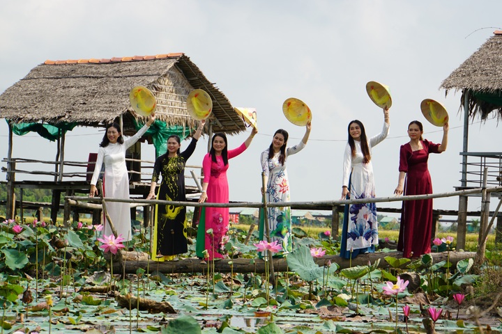 Dong Thap to hold lotus festival - 1