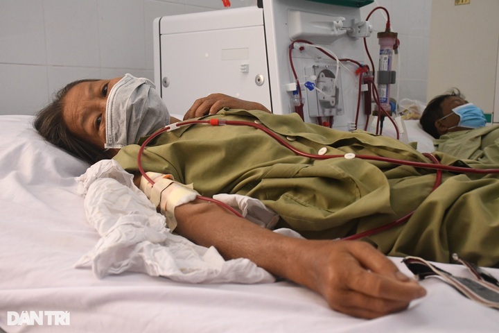 Quang Ngai couple need support to fight diseases - 1