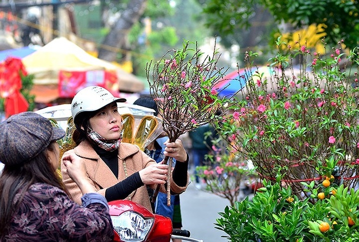 Seven-day Lunar New Year break proposed - 1 Seven-day Lunar New Year break proposed - 1