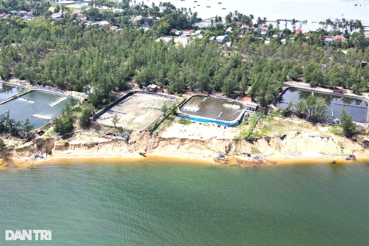 Quang Nam beaches severely eroded - 1 Quang Nam beaches severely eroded - 1