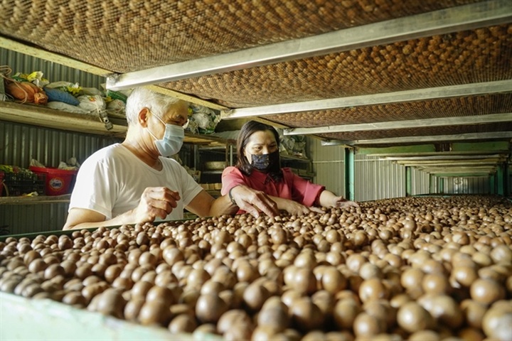 Vietnam expected to achieve five SDGs by 2030 - 1 Vietnam expected to achieve five SDGs by 2030 - 1