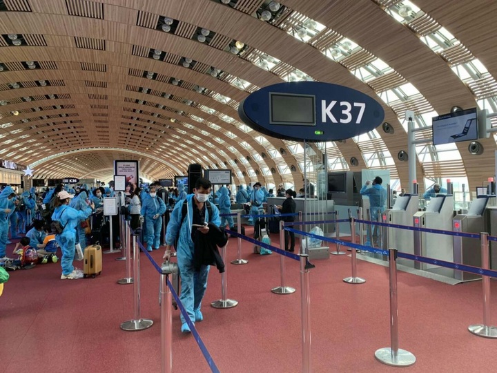 Nearly 340 Vietnamese citizens return home from 30 countries - 1