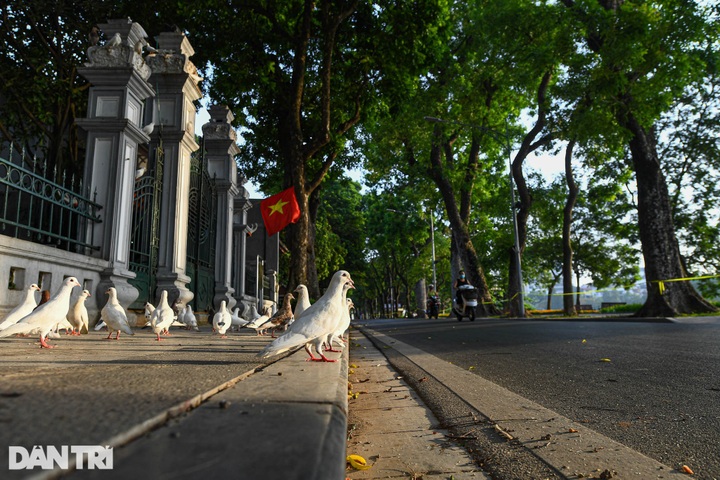 Hanoi streets deserted on the first day of social distancing - 15