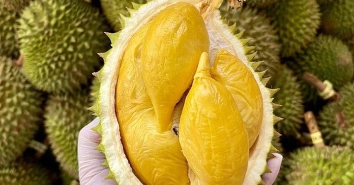 Durian exports forecast to top 3 billion USD in 2024 - 1