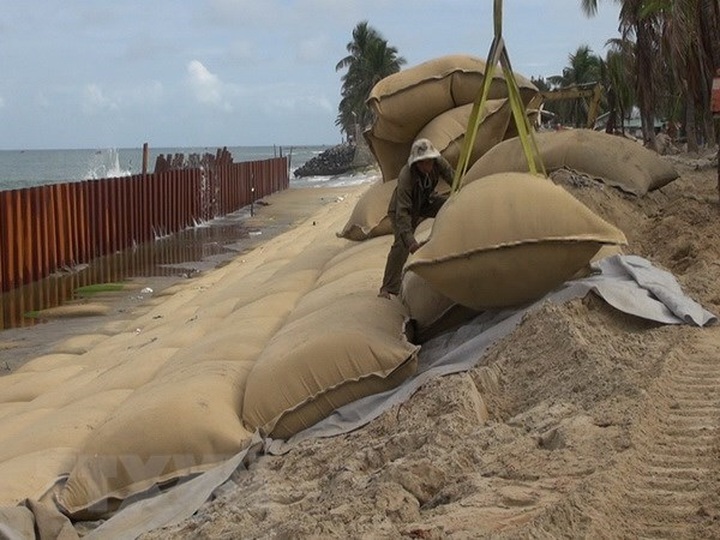 Long An to spend over 1 trillion VND on anti-erosion projects - 1