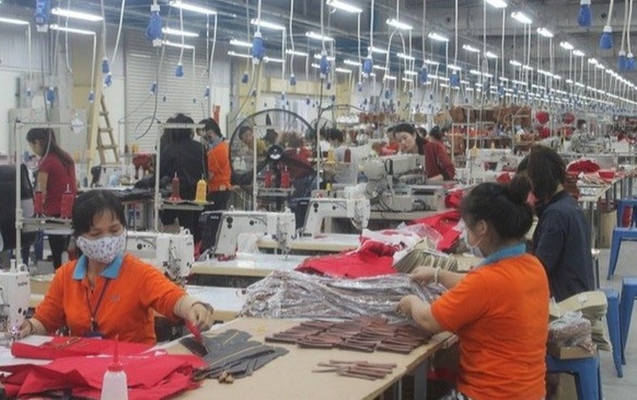 More than 1,000 firms are owing social insurances in Quang Ngai - 1 More than 1,000 firms are owing social insurances in Quang Ngai - 1