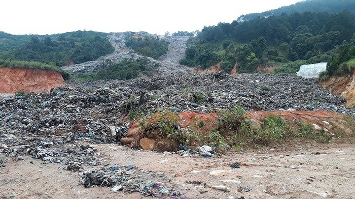 Dalat crops damaged by post-flood litter - 1