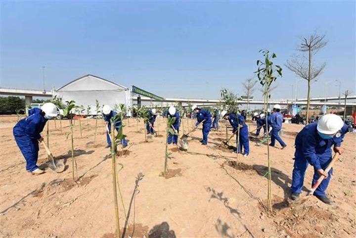 Environment ministry builds digital tree map in Vietnam - 1 Environment ministry builds digital tree map in Vietnam - 1