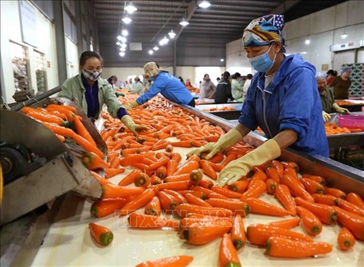 Vietnam expects more markets to open to farm produce in 2023 - 1