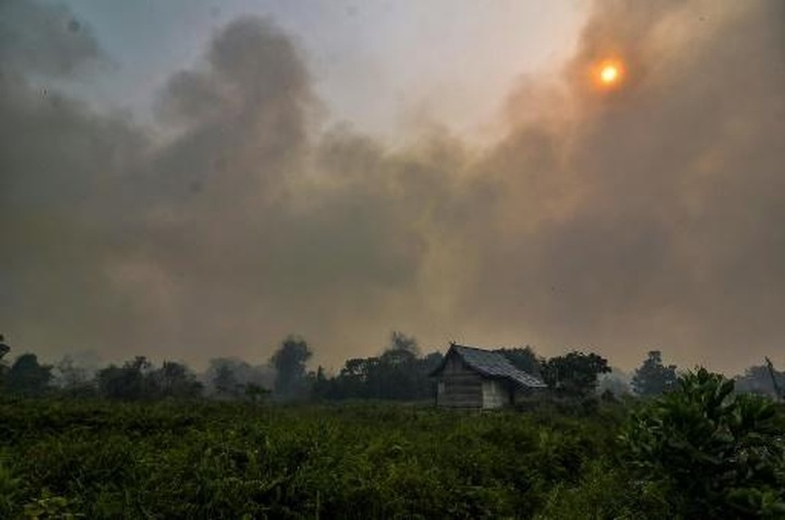 Malaysia, Indonesia shut thousands of schools over forest fires haze - 1 Malaysia, Indonesia shut thousands of schools over forest fires haze - 1