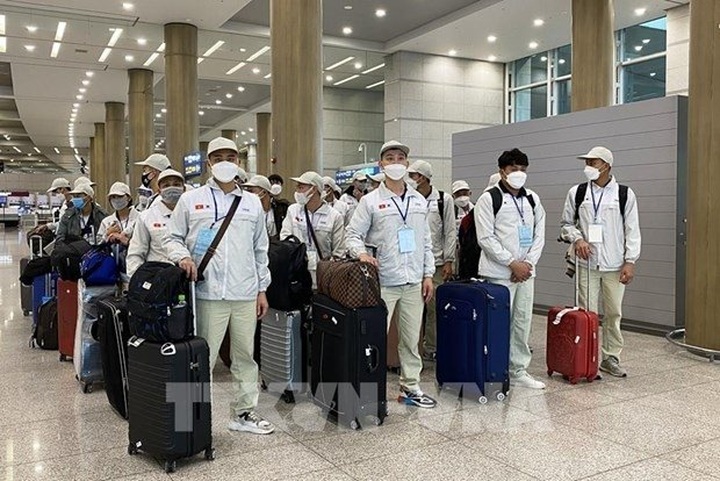 RoK reopens channel to receive seasonal workers from Vietnam - 1