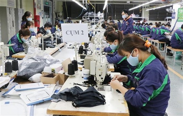 Coronavirus fight: MoF exempts import tax on five commodity groups - 1