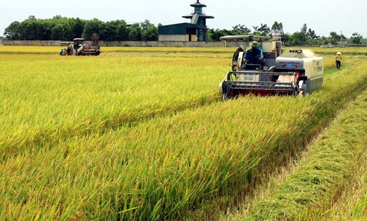 Vietnam eyes place in world’s top 10 farm produce processing hubs - 1 Vietnam eyes place in world’s top 10 farm produce processing hubs - 1