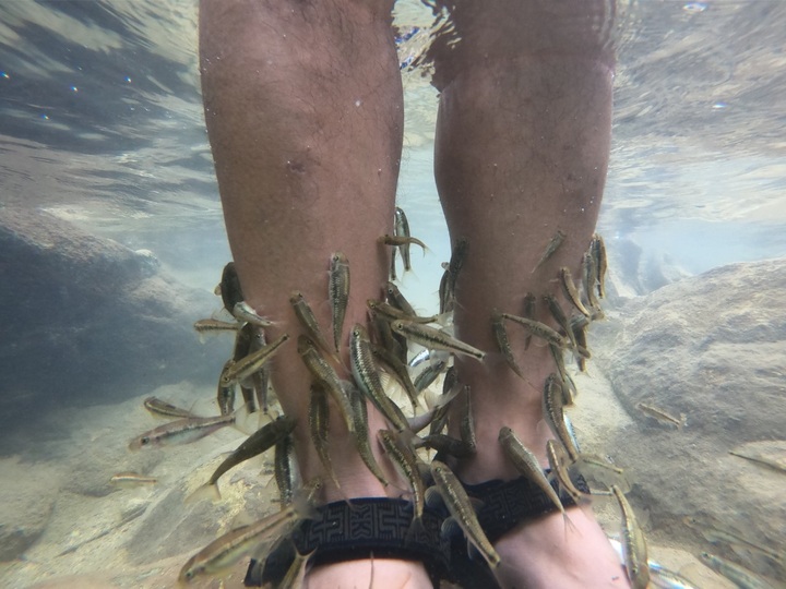 Tuyen Quang's Na Hang Reservoir offers stunning landscapes - 3