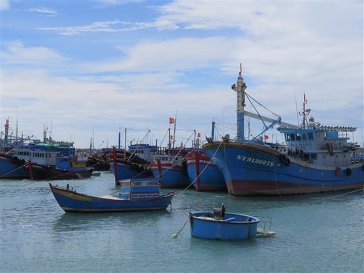 Fishery sector committed to combating IUU fishing - 1 Fishery sector committed to combating IUU fishing - 1