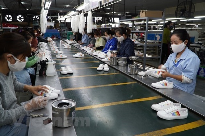 Vietnamese businesses look to further optimise opportunities from CPTPP - 1