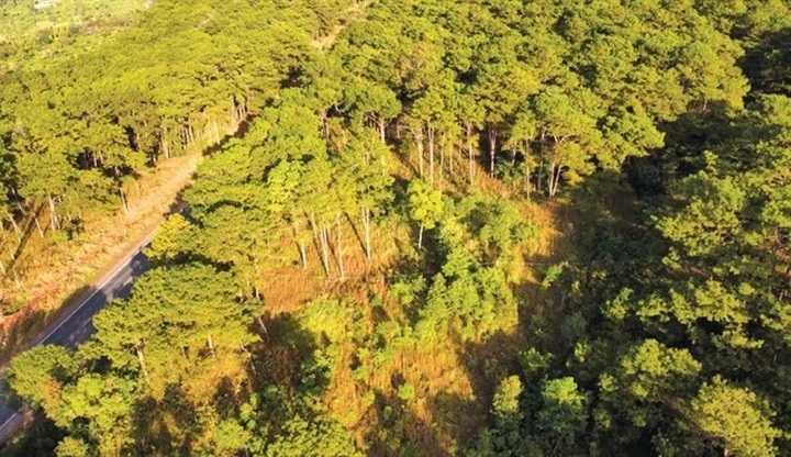 MARD reports plan to use nearly 6 million tonnes of CO2 - 1 MARD reports plan to use nearly 6 million tonnes of CO2 - 1