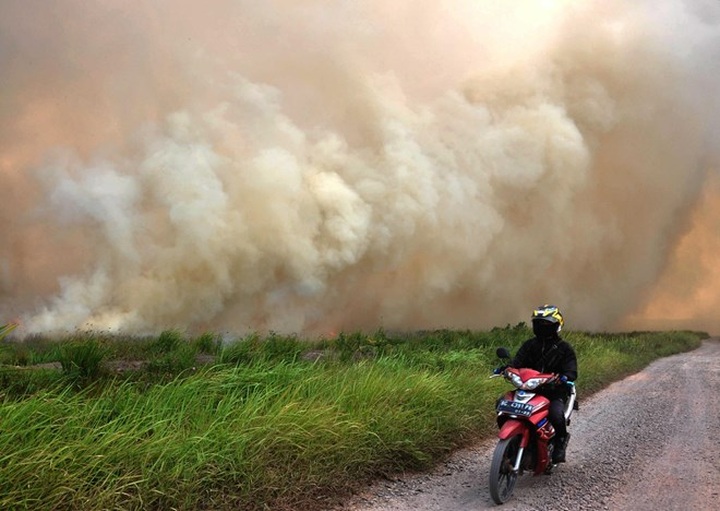 High risks of forest fires in many ASEAN countries - 1