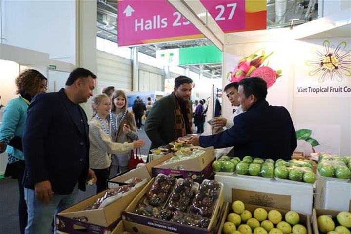 Vietnamese fruits promoted in Berlin exhibition - 1