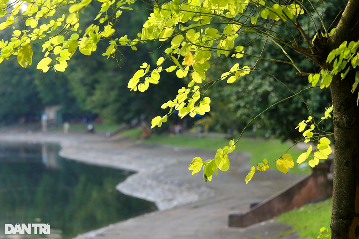 Beautiful Hanoi in autumn - 10 Beautiful Hanoi in autumn - 10