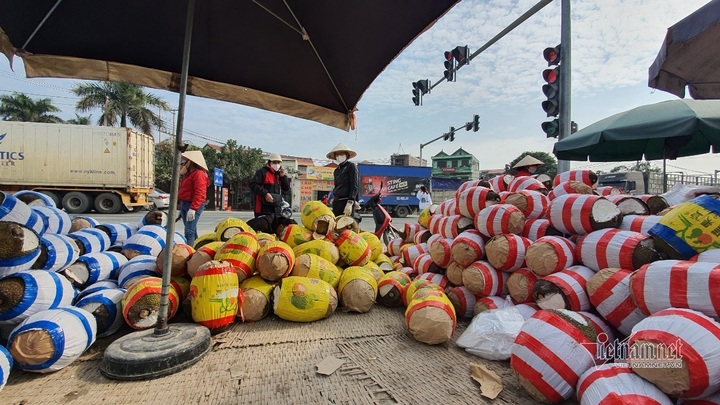 Thousands of tonnes of jackfruits sold off at border gate - 4