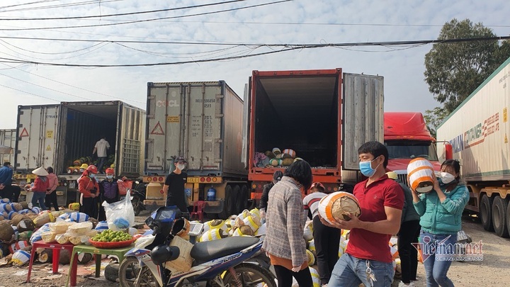 Thousands of tonnes of jackfruits sold off at border gate - 2
