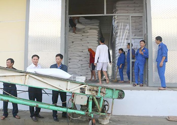 Nearly 10,000 tonnes of rice proposed for poor people on Tet - 1