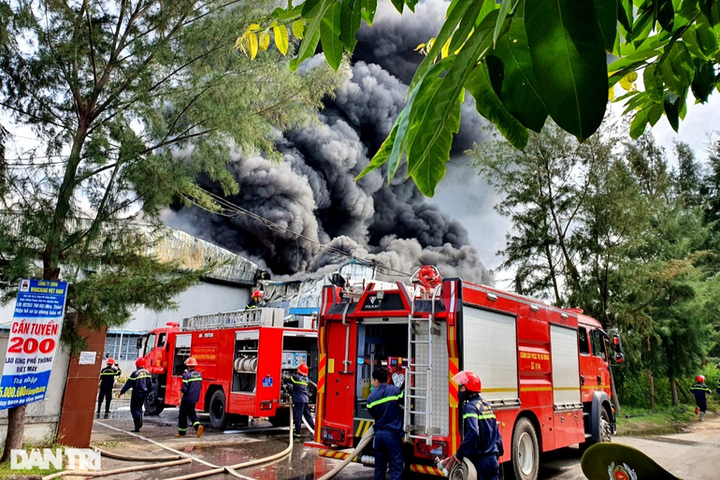 Over 800 workers face job losses following company fire in Quang Nam - 1