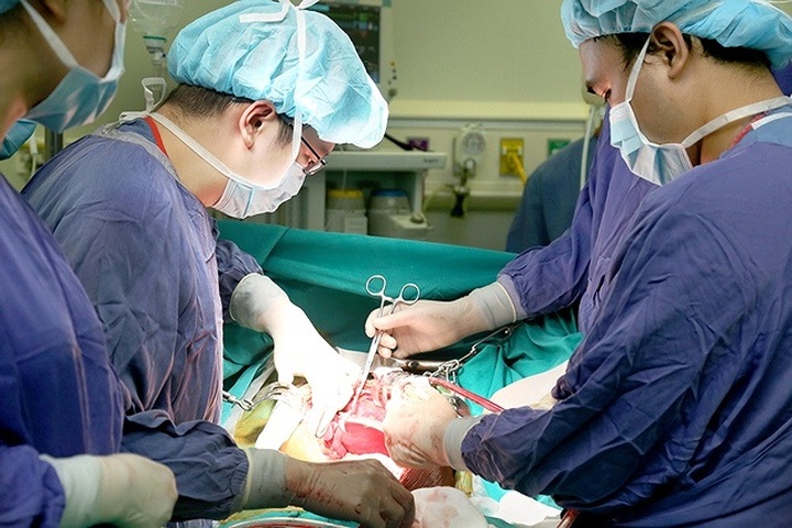 Hanoi hospital announces organ transplant record - 1