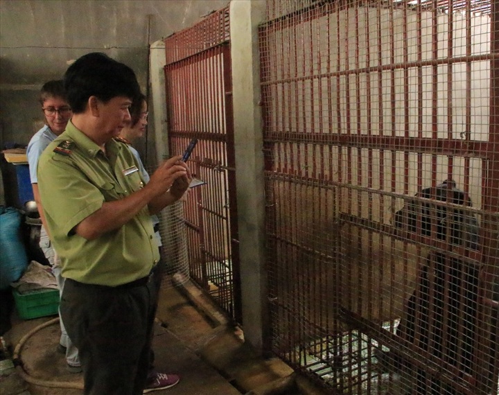 Two more bears rescued in Binh Duong - 1