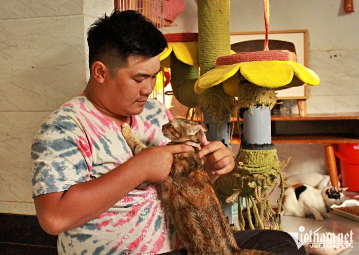 HCM City couple cancels wedding to spend money on cats - 3
