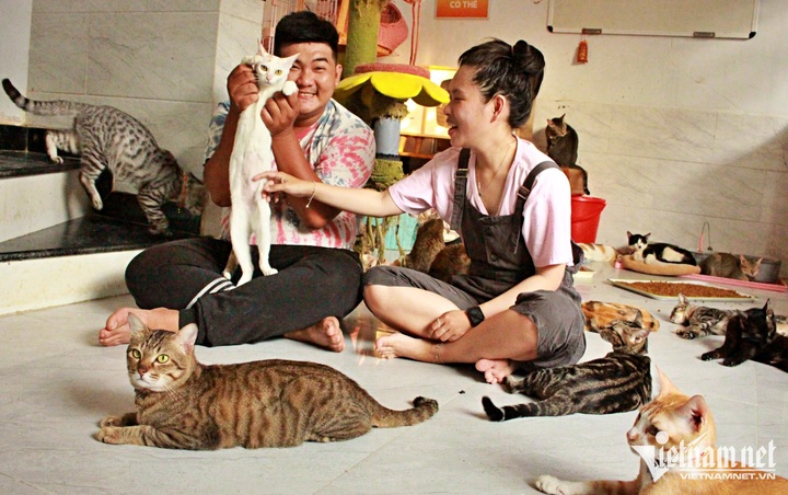 HCM City couple cancels wedding to spend money on cats - 1