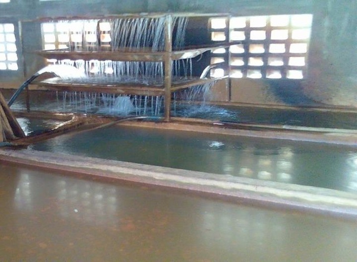 HCM City faces dangerous drinking water problem - 1