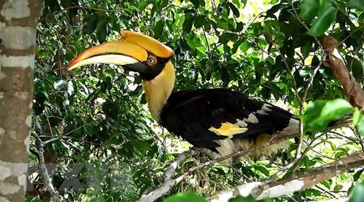 Organisation calls for end to commercial farming of endangered wildlife - 1