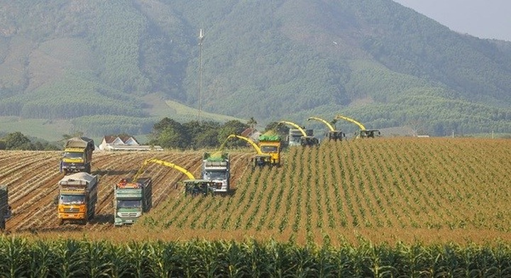 Private sector’s engagement needed for Vietnam to promote green growth: Experts - 1