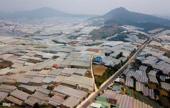 Greenhouse expansion damages Da Lat’s environment - 1