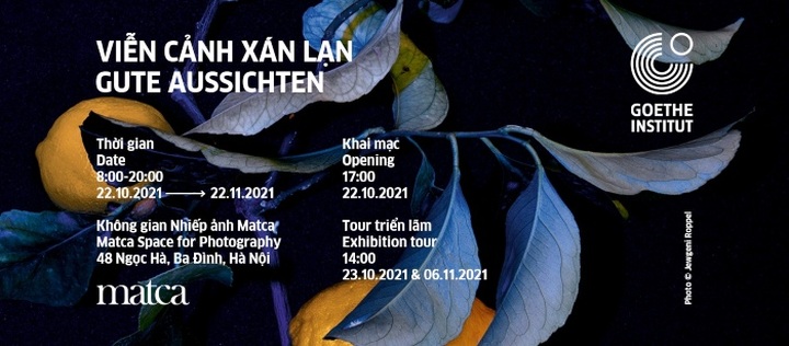 What's on November 1-7 (Daily updated) - 2 What's on November 1-7 (Daily updated) - 2