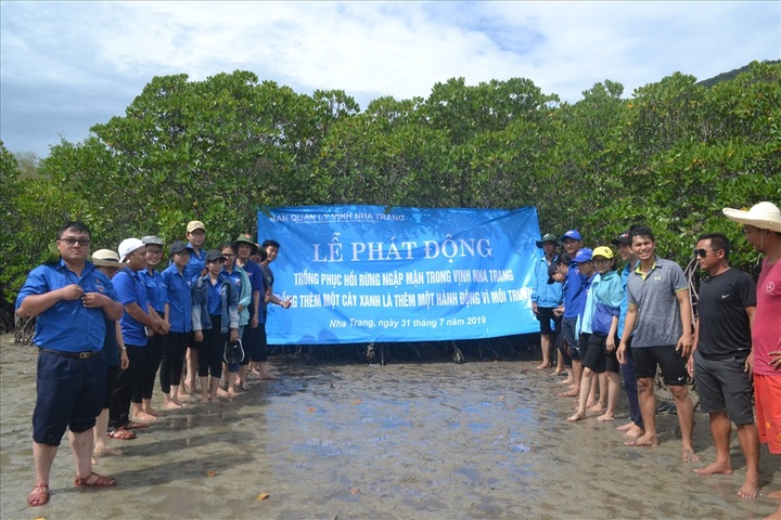 Nha Trang starts mangrove restoration project - 1