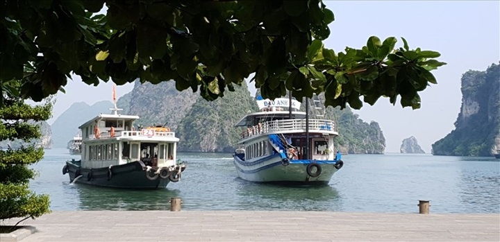 Quang Ninh offers free tickets to Halong Bay by year-end - 1