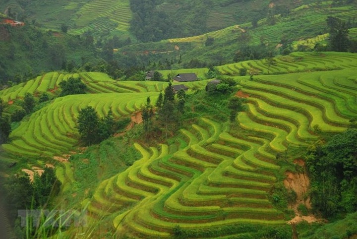 Five Vietnamese places among world’s 20 best backpacking destinations - 1