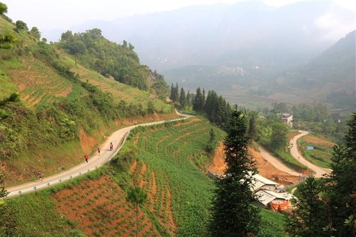Over 1,000 join international marathon in Ha Giang - 1