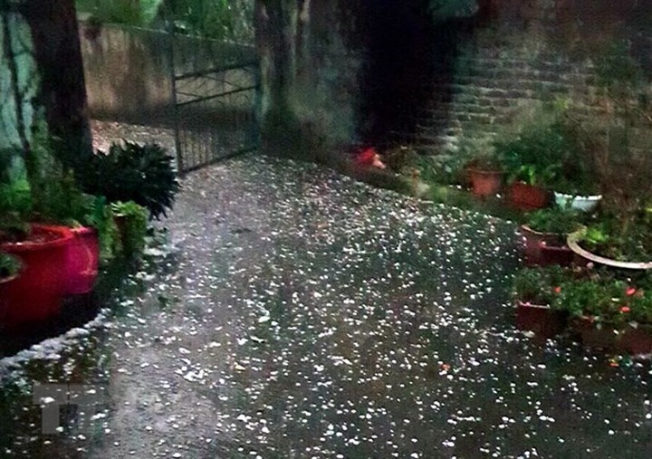 11 minor earthquakes occur in Vietnam so far this year - 1