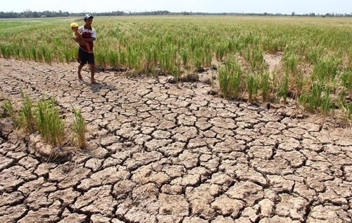 PM allocates VND350bn for Mekong Delta to fight drought - 1 PM allocates VND350bn for Mekong Delta to fight drought - 1