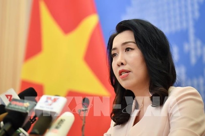Countries must respect Vietnam’s sovereignty in East Sea: spokesperson - 1
