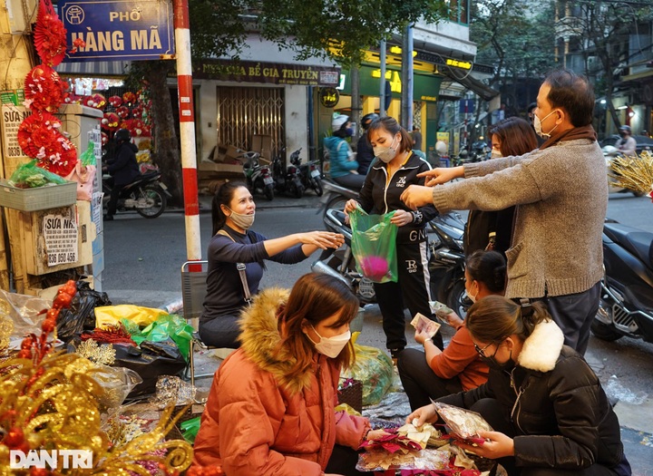 Hanoi streets colourful ahead of Tet - 9